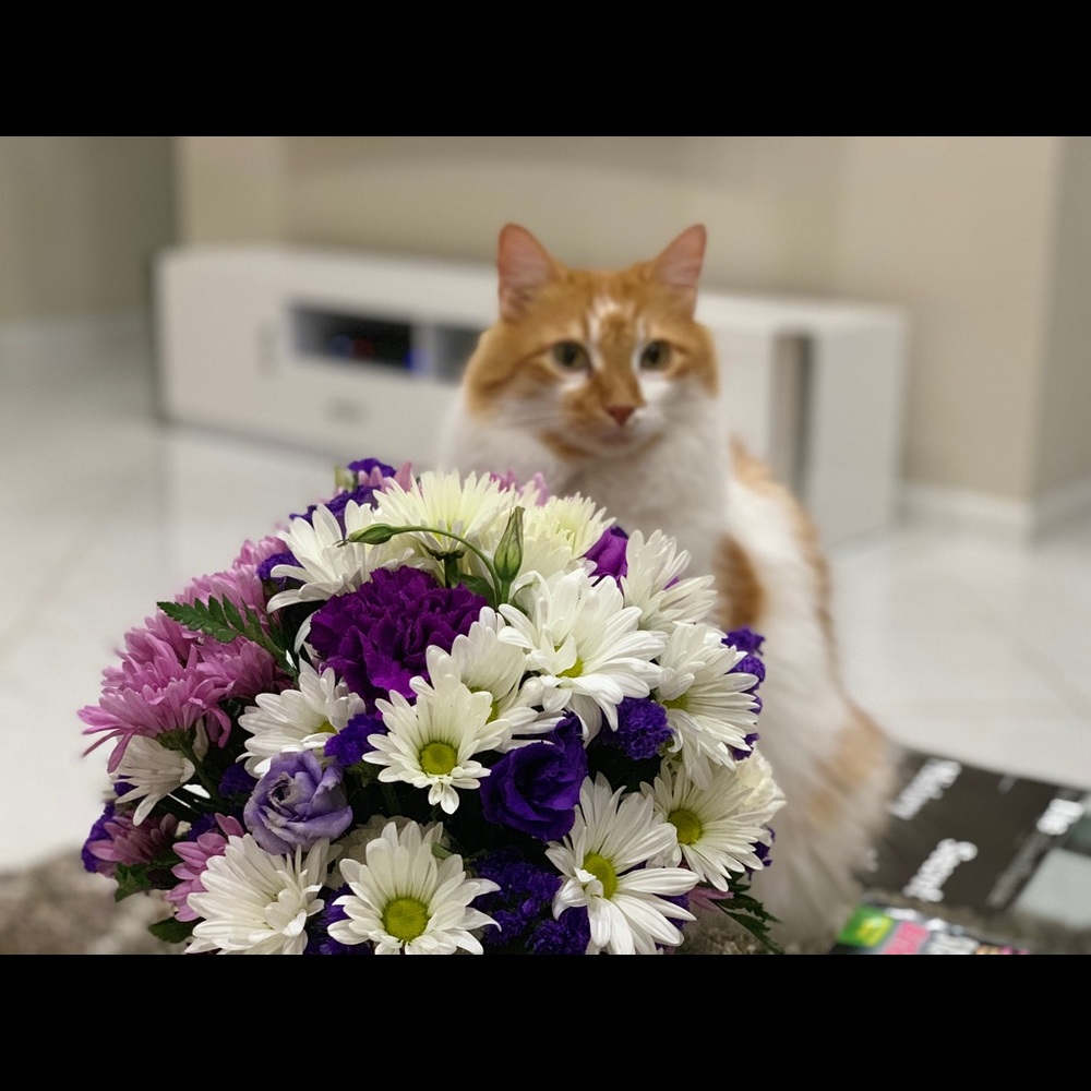 Meet your Posher, Stacey